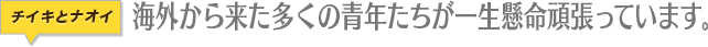 タイ、インドネシアの青年たちが一生懸命頑張っています。