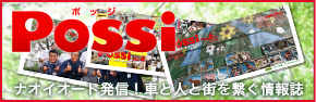 POSSI