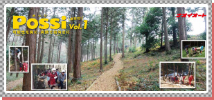 POSSI1